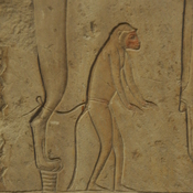 Saqqara, Tomb of Maja, Relief of a monkey
