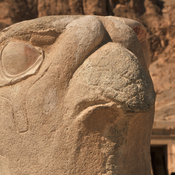 Deir el-Bahari, Mortuary Temple of Hatshepsut, Head of a bird