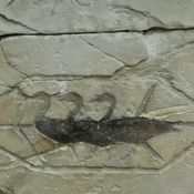 Meidum, Tomb of Atet, Birds