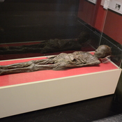 Mummy of Nesi-hensu