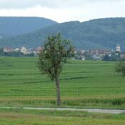 Colmar, Bebelnheim, battlefield where Caesar defeated Ariovistus