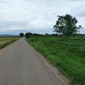 Colmar, Roman road near battlefield Colmar