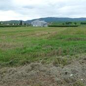 Colmar, Bebelnheim, battlefield where Caesar defeated Ariovistus