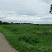 Colmar, Roman road near battlefield Colmar