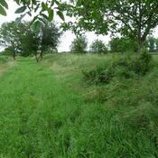 Colmar, Remains of the Roman camp