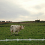 Sabis, Battlefield of the battle between the Nervians and the Romans led by Gaius Julius Caesar