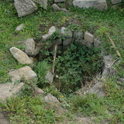 Bavay, Remains of a well on the forum