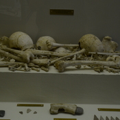 Tinqueux, Human bones of the Seine-Oise-Marne culture