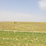 Tall-e Malyan, View from northeast