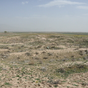 Tall-e Malyan, Excavation