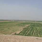 Tall-e Malyan, Plain