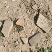 Tall-e Malyan, Sherds