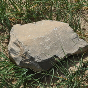 Tall-e Malyan, Stone