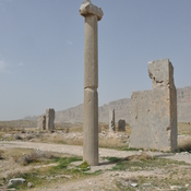Istakhr, Achaemenid column, reused in a Sasanian city