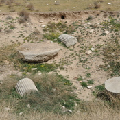 Istakhr, Column bases