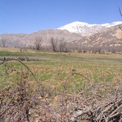 Emamzadeh Shah Qasem (Beginning of Alexander's detour)