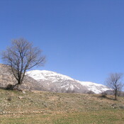 Emamzadeh Shah Qasem (Beginning of Alexander's detour)