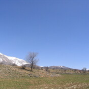Emamzadeh Shah Qasem (Beginning of Alexander's detour)