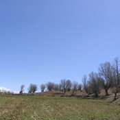 Emamzadeh Shah Qasem (Beginning of Alexander's detour)