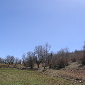 Emamzadeh Shah Qasem (Beginning of Alexander's detour)