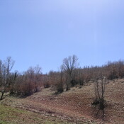 Emamzadeh Shah Qasem (Beginning of Alexander's detour)