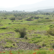 Bishapur, Living quarters