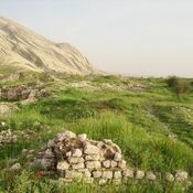 Bishapur, City panorama (1)