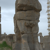 Persepolis, Hall of a Hundred Columns, Northern portico, Bull