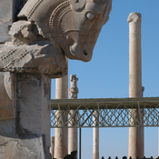 Persepolis, Hall of a Hundred Columns, Northern portico, Bull