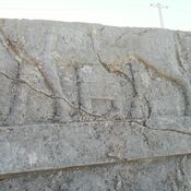 Persepolis, Apadana, Northstairs, Relief of a hippopotamus