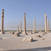 Persepolis, Apadana, Columns