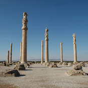 Persepolis, Apadana