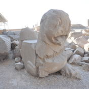 Persepolis, Apadana, Capital