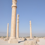 Persepolis, Apadana, Columns