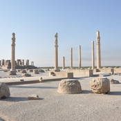 Persepolis, Apadana and Palace of Darius