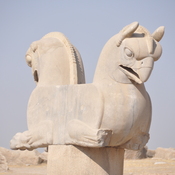 Persepolis, Army Road, Homa-bird