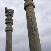 Persepolis, Gate of All Nations, Column