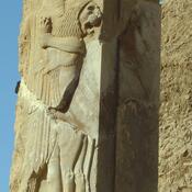 Persepolis, Palace of Darius (Taçara), Royal warrior
