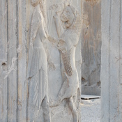 Persepolis, Palace of Darius (Taçara), Royal warrior