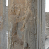 Persepolis, Palace of Darius (Taçara), Royal warrior