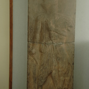 Persepolis, Palace of Darius (Taçara), Royal warrior