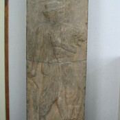 Persepolis, Palace of Darius (Taçara), Royal warrior