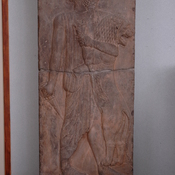 Persepolis, Palace of Darius (Taçara), Royal warrior