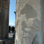 Persepolis, Palace of Darius (Taçara), Royal warrior