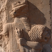 Persepolis, Palace of Darius (Taçara), Royal warrior