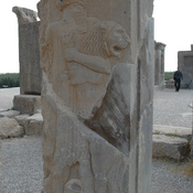 Persepolis, Palace of Darius (Taçara), Royal warrior
