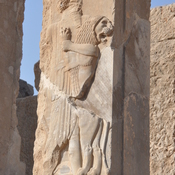 Persepolis, Palace of Darius (Taçara), Royal warrior