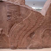 Persepolis, Palace of Darius (Taçara), Relief of a sphinx