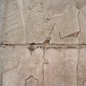 Persepolis, Apadana, East Stairs, Relief of an Elamite with a lion's pub