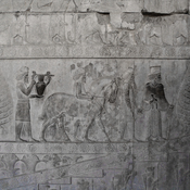 Persepolis, Apadana, East Stairs, Relief of the Armenians with a horse